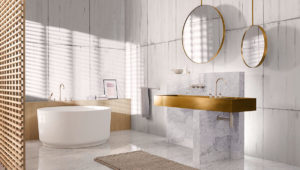 Bathroom Accessories and Spa