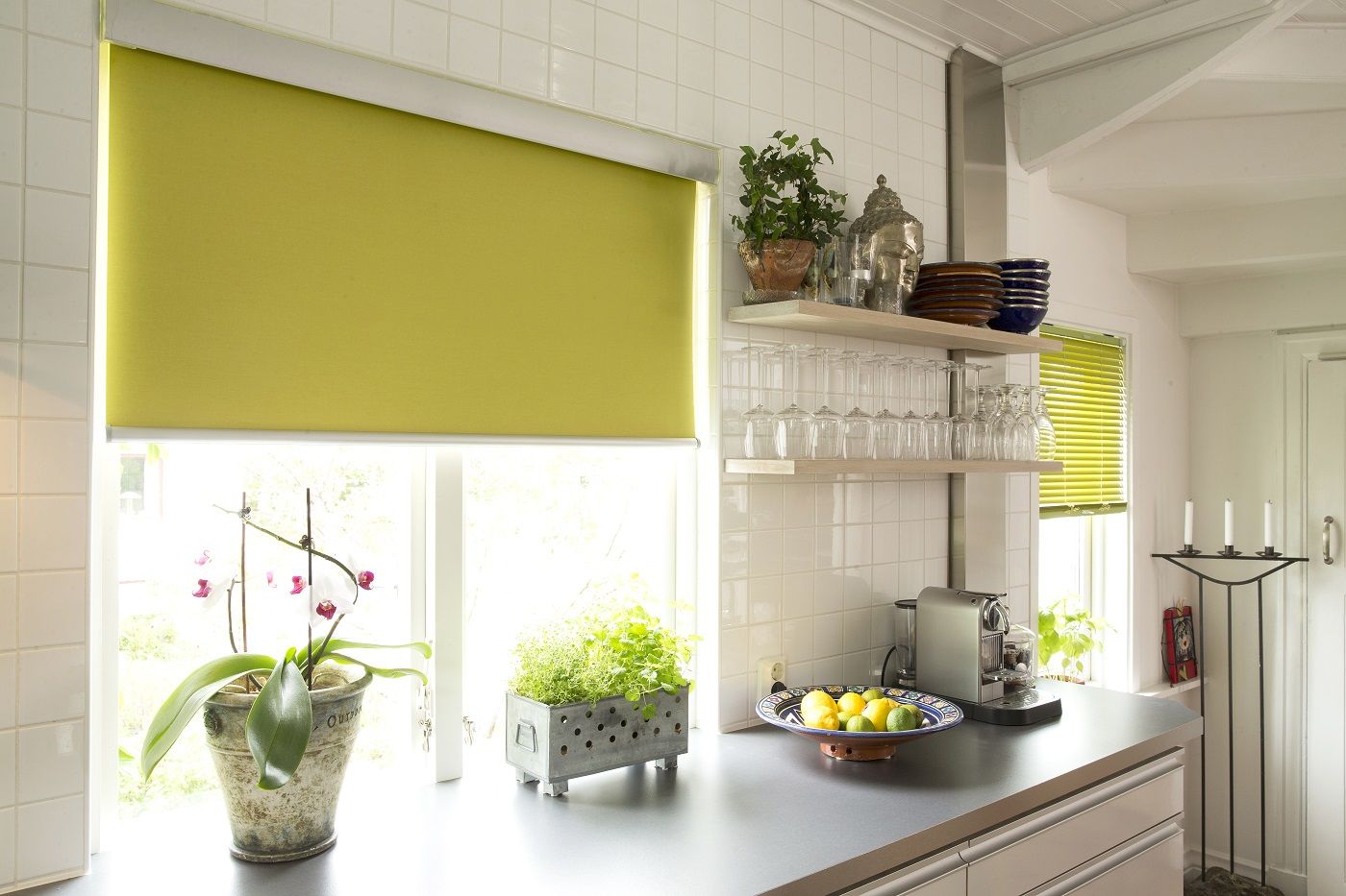 roller blinds