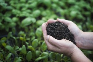 Composting