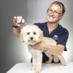 Mobile Pet Grooming: A Safer Option for Nervous Pets