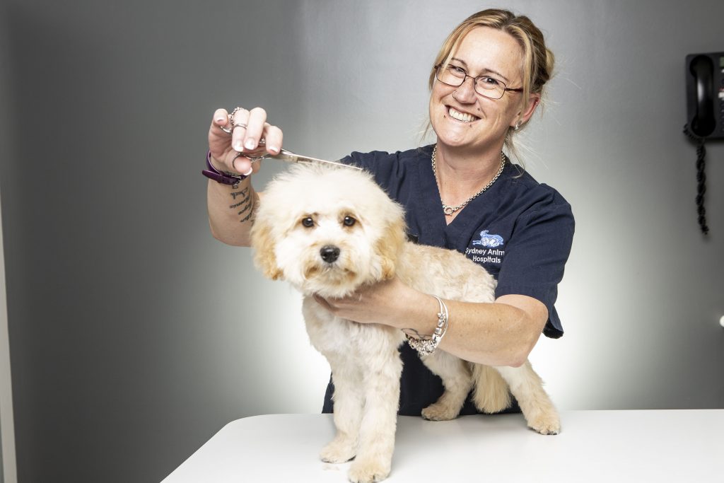 Mobile Pet Grooming: A Safer Option for Nervous Pets