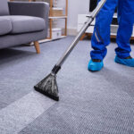 Extending the Lifespan of Your Carpets Through Regular Professional Cleaning