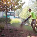 Types Of Mulch For Your Garden Space