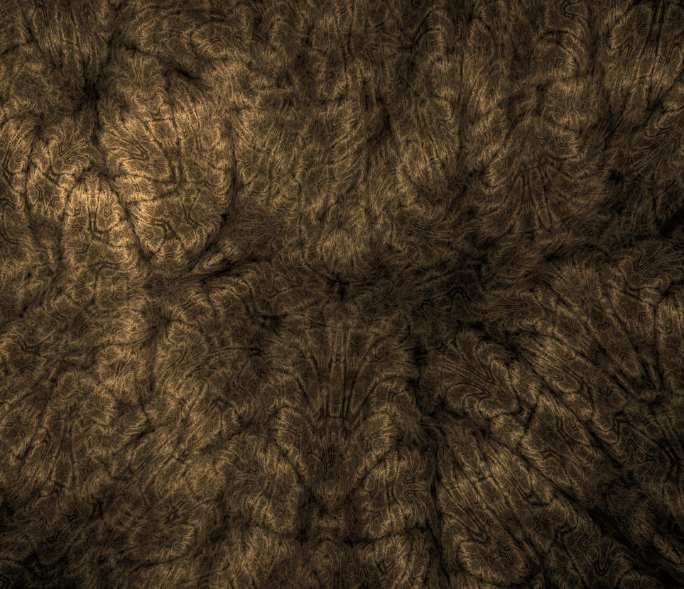 Content image for Repairing Faded Fabric Decor.