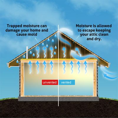 Featured image for Preventing Decor Moisture Damage.