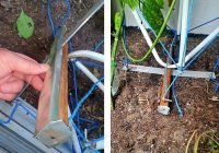 Featured image for Fixing Bad Plant Placement.