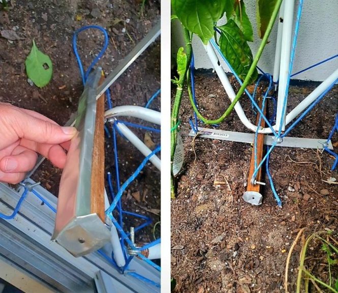 Featured image for Fixing Bad Plant Placement.