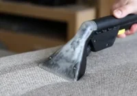 Featured image for Eliminating Decor Stains.