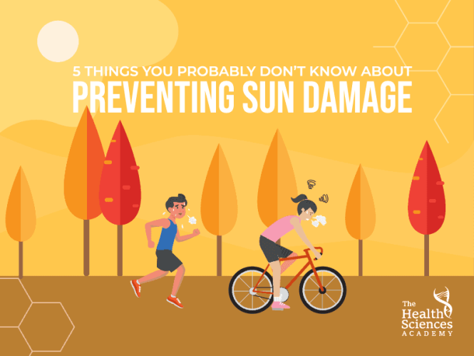 Featured image for Preventing Decor Sun Damage.