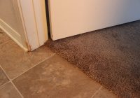 Featured image for Preventing Decor Pet Damage.