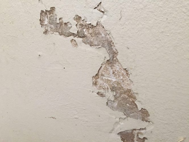 Featured image for Repairing Damaged Wallpapers.