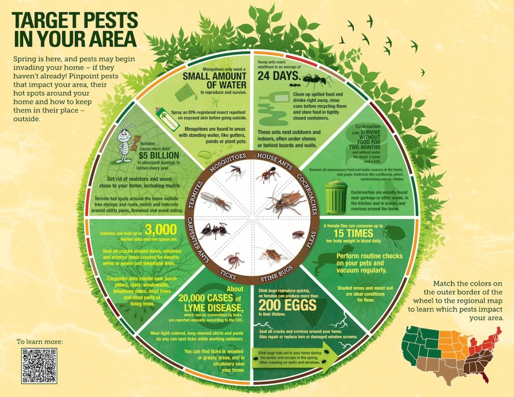 Content image for Preventing Decor Insect Damage.