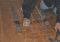 Featured image for Repairing Scratched Hardwood Floors.
