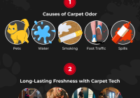 Featured image for Eliminating Floor Odors Quickly.