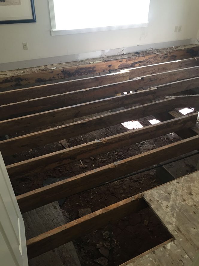 Featured image for Repairing Water-Damaged Floors.