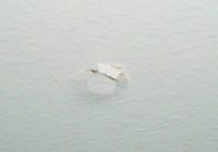 Featured image for Fixing Popping Nail Heads in Floors.