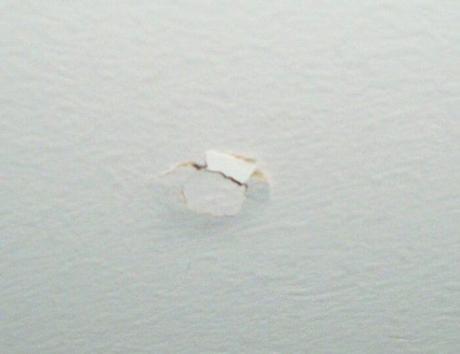 Featured image for Fixing Popping Nail Heads in Floors.