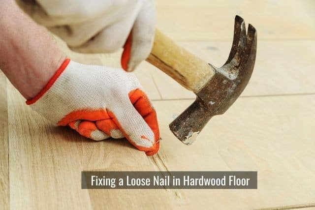 Content image for Fixing Popping Nail Heads in Floors.