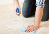 Featured image for Restoring Stained Carpets.