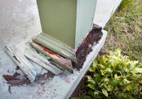 Featured image for Preventing Floor Termite Damage.