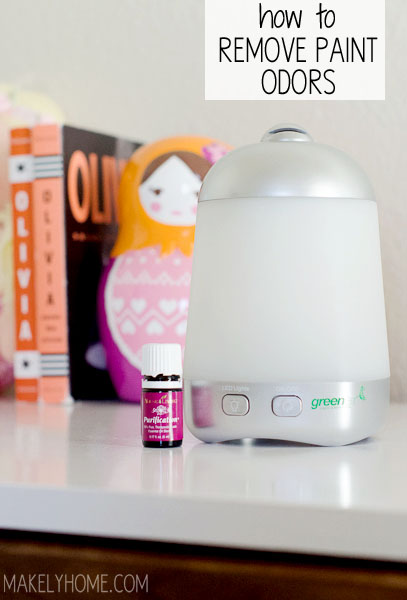 Featured image for Eliminate Paint Odors Quickly.