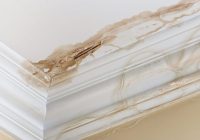 Featured image for Roof Leaks? Find and Fix Them Now.