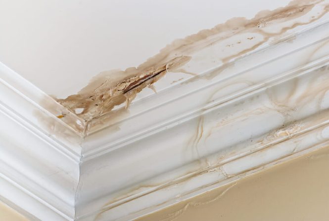 Featured image for Roof Leaks? Find and Fix Them Now.