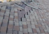 Featured image for Shingle Damage? Quick Repair Tips.