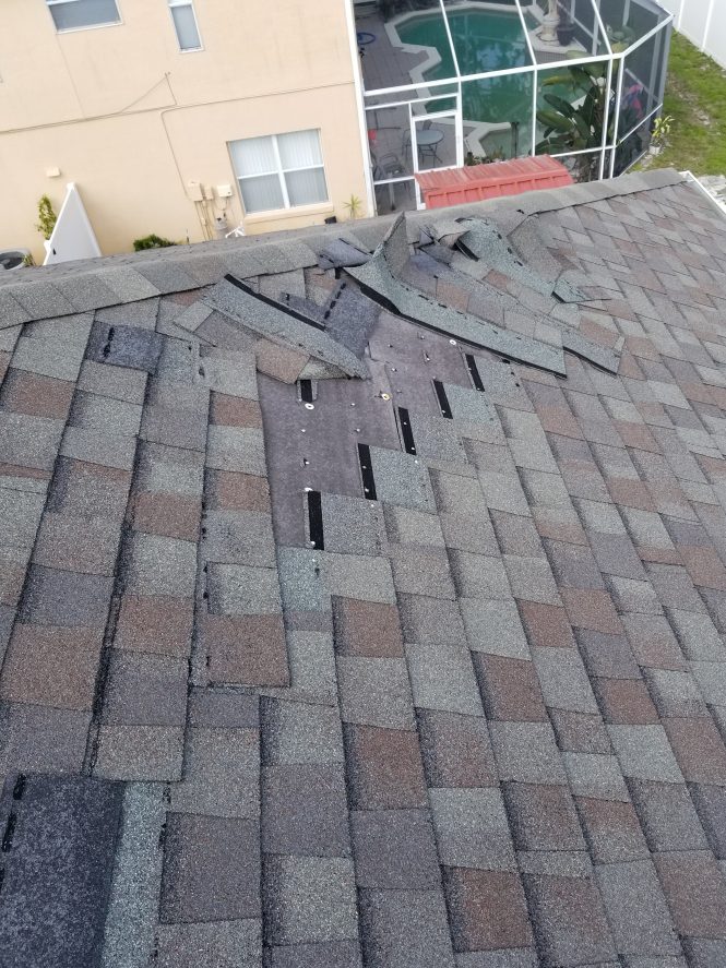 Featured image for Shingle Damage? Quick Repair Tips.