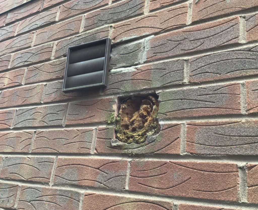 Content image for Stop Roof Vent Issues Fast.