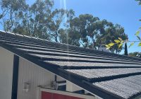 Featured image for Deal with Roof Moss Growth.