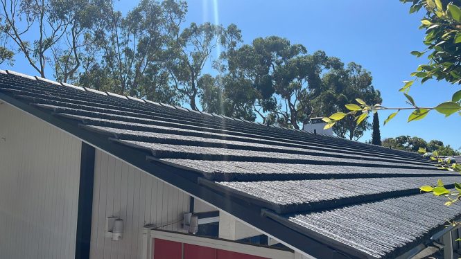 Featured image for Deal with Roof Moss Growth.