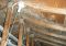Featured image for Avoid Roof Mold Growth.
