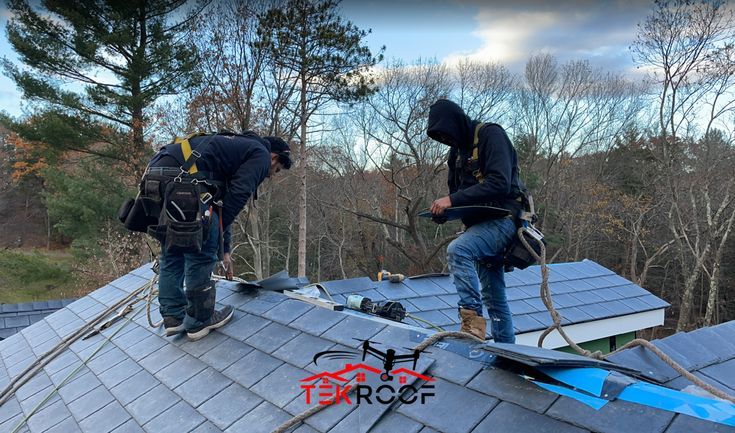 Content image for Avoid Roof Mold Growth.