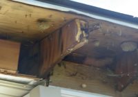 Featured image for Avoid Roof Rot Issues.
